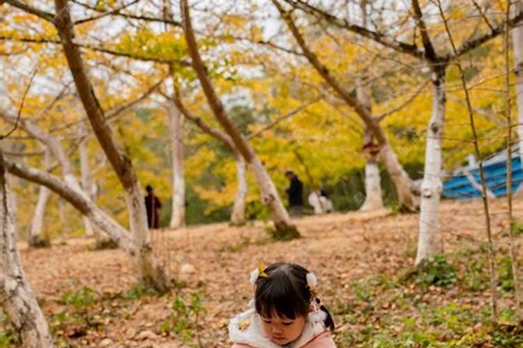 十月初一正午出生的女孩