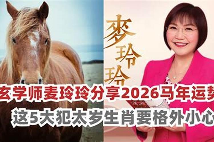2026年运程生肖马2026年运势