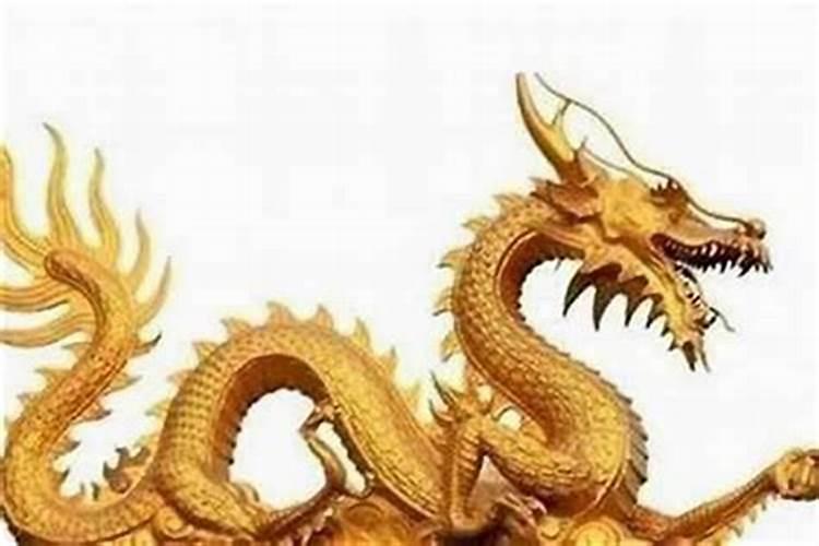 属龙的和属虎的合婚吗？