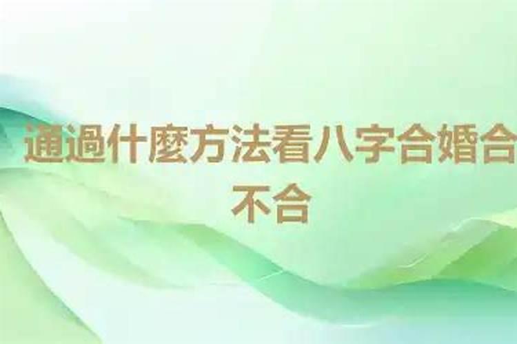 八字合不合看哪？