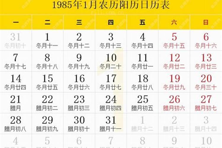 1985年农历11初4出生的运势