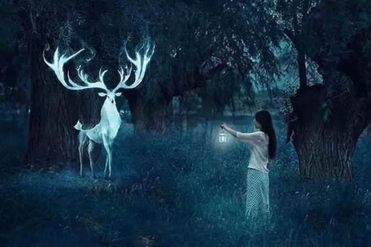 梦见死人是好还是不好？