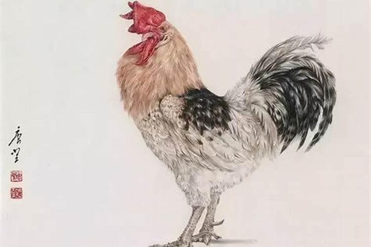 鸡年农历7月出生运势如何？