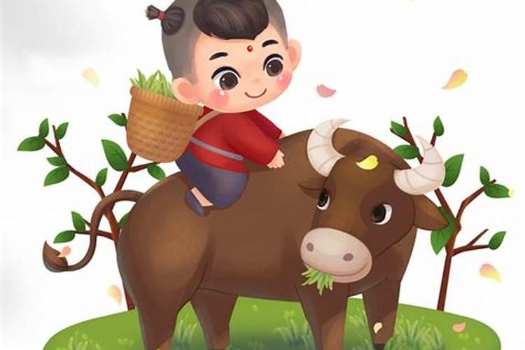 清明节出生的牛好吗？