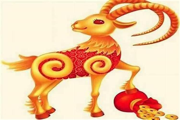 属羊冬至过后运势