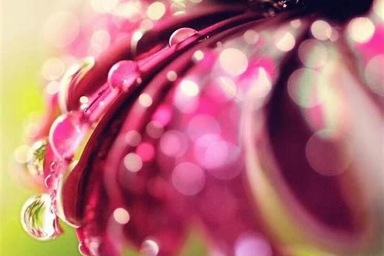 梦见弟媳妇的妈妈死了