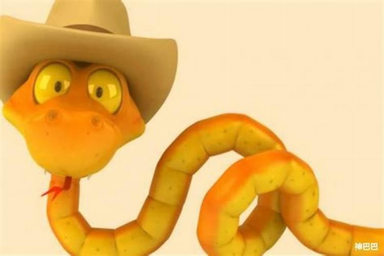 本命年的忌讳什么属相？