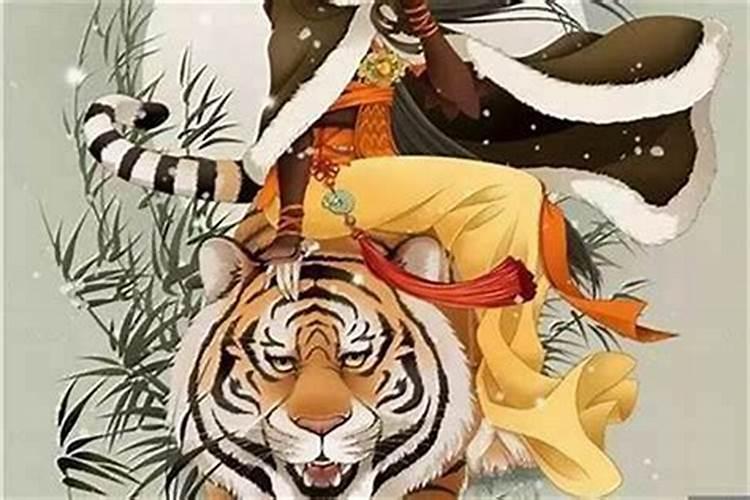 属虎的本命年2026运势如何？