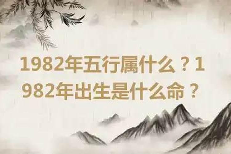 1982年什么命？