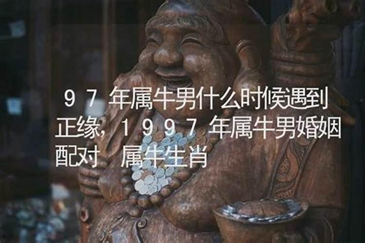 97年属牛男今年的运势