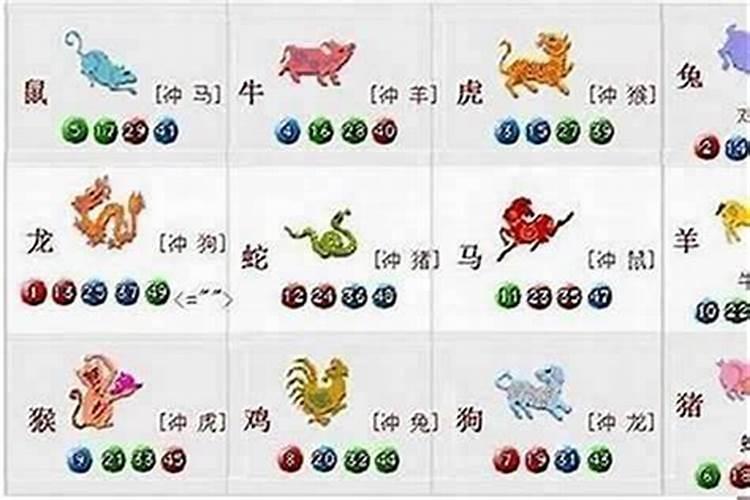 什么属相不合？