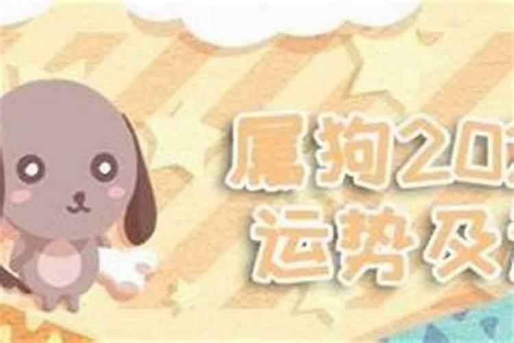 属狗今年12月运程怎么样？
