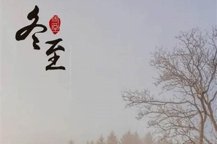 冬至生的龙命运如何？