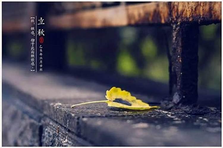 什么名人是立秋出生？