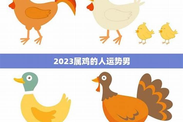 属鸡2026年运势男