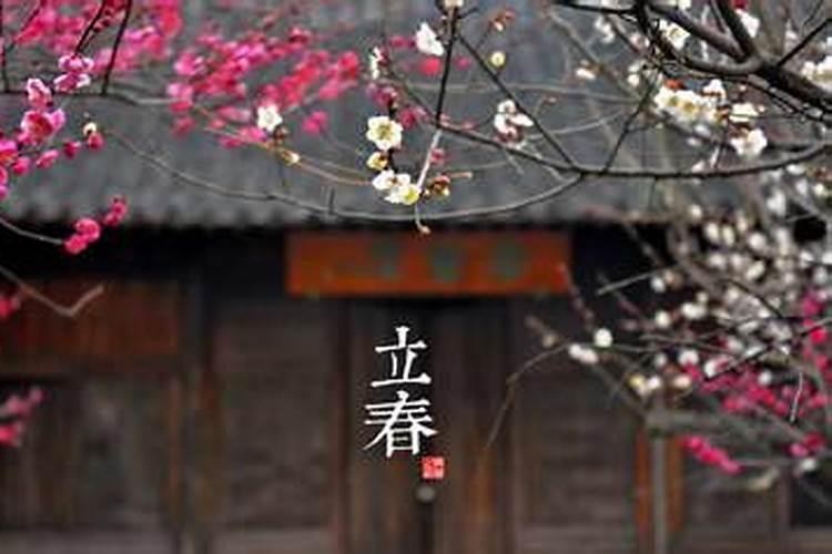 1998年立春是啥时候？