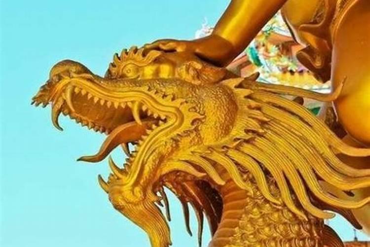 1964年属龙人今年运势如何？