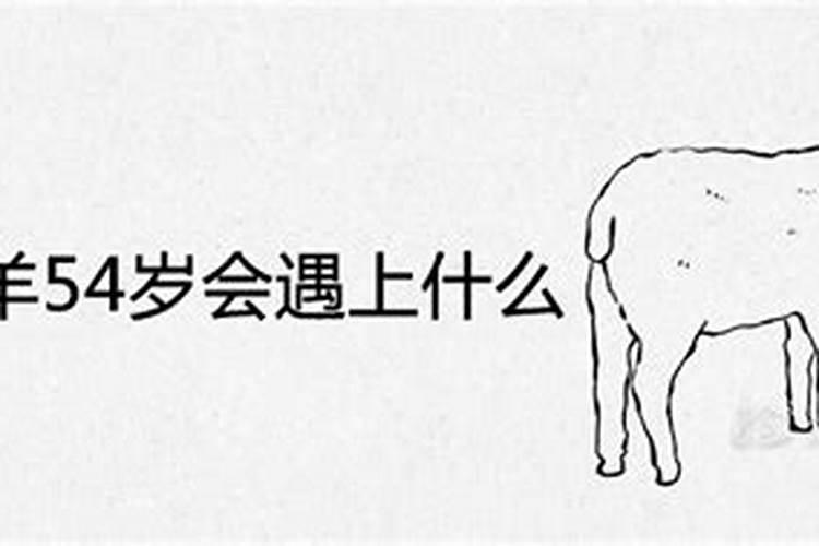 67年出生的羊的运程