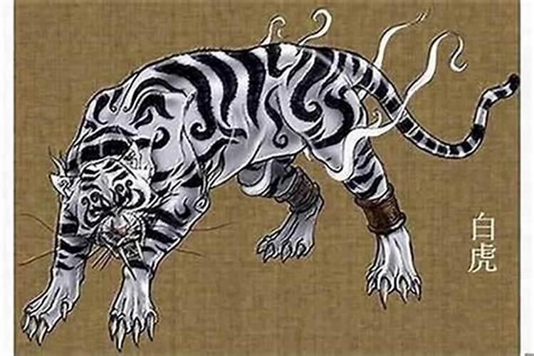 太岁犯白老虎是什么意思？