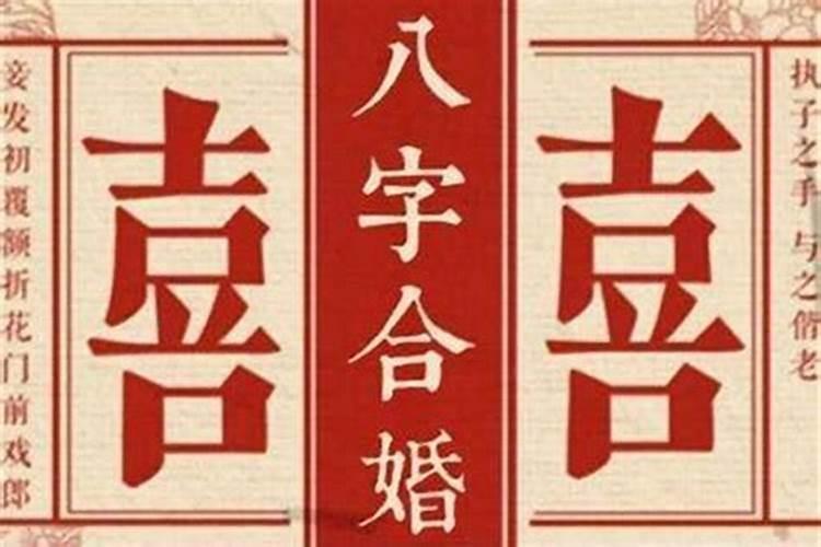 八字合犬认什么意思？