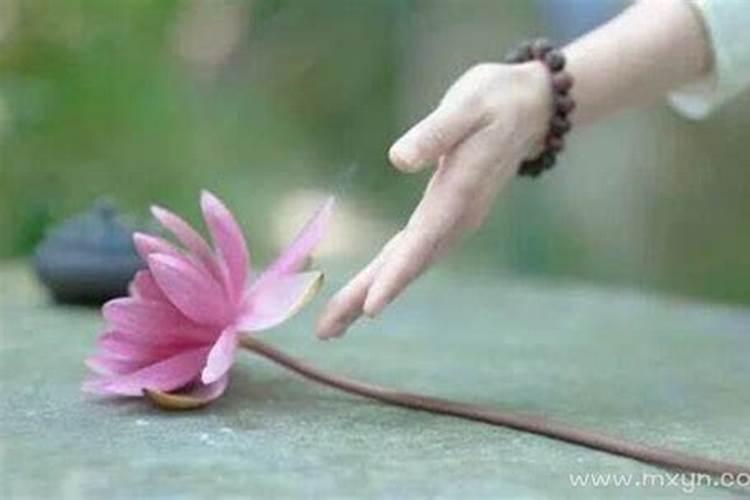 梦见逝去的亲人还健在