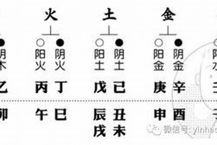 配偶看自己的天干还是地支？