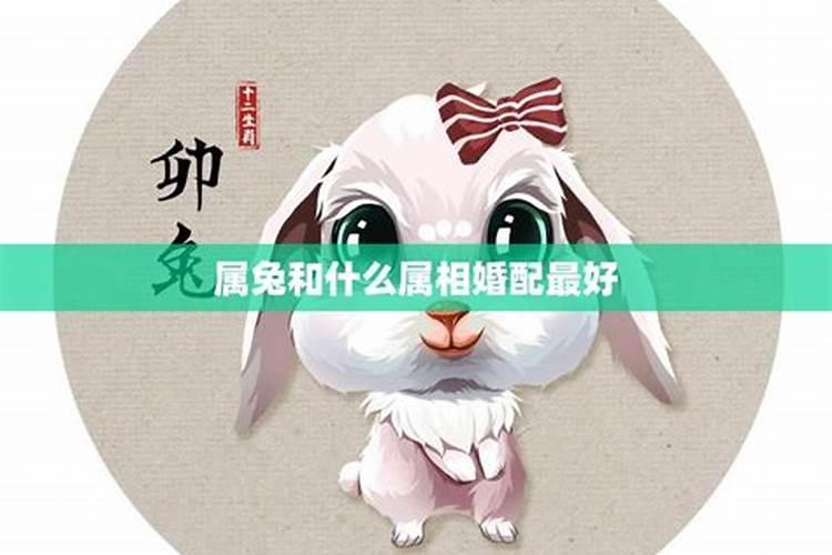 兔和哪个属相婚配最好？