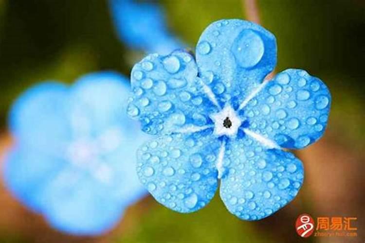 消业障是不是还阴债？