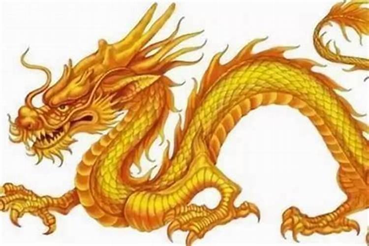 女属龙2026年运程