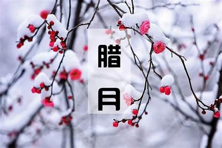 冬天什么时候进入腊月？