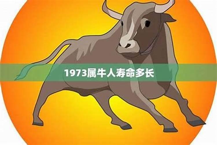 73年八月的牛今年运势