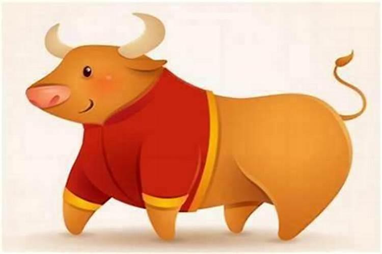 牛女和虎男能合婚吗？