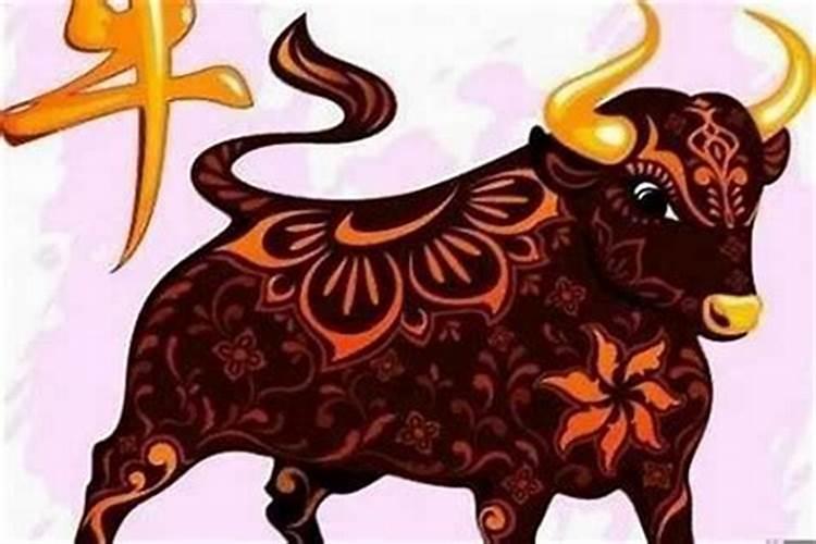 本命年牛年注意什么生肖？