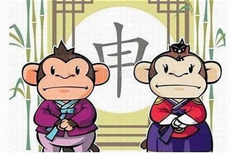 属猴婚姻不顺怎么办？