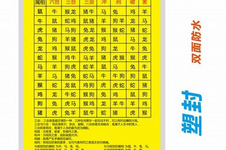 合冲克害什么生肖不能合婚？