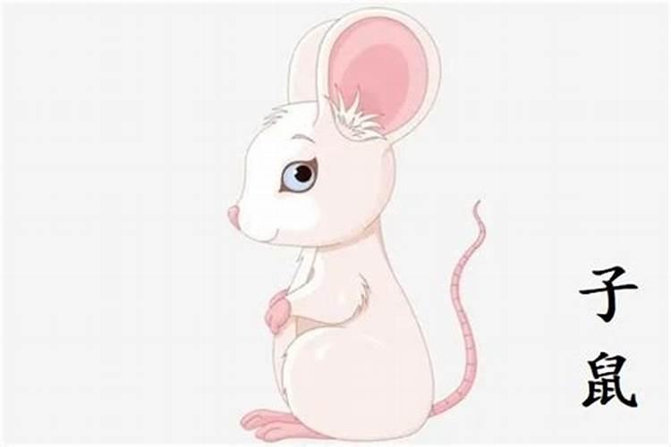 属鼠人今年的运势