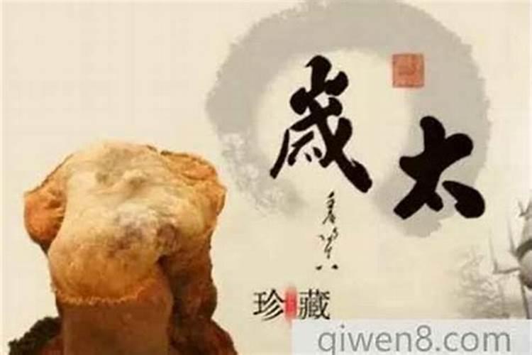 太岁到底是什么物质组成？