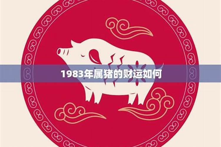 1983年属猪的在猪年运势如何？