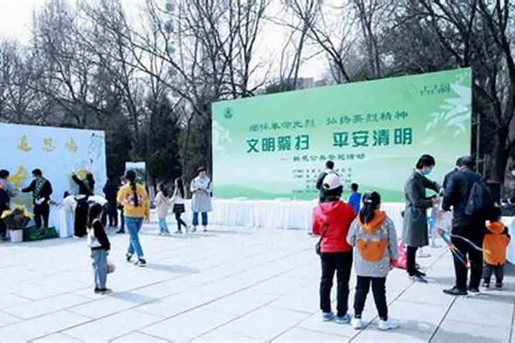 呼市清明节祭扫