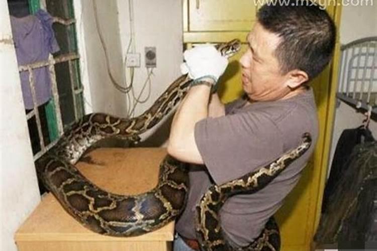 梦见被蛇缠身是什么意思周公解梦？