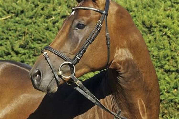 1966年男2026年运程三通