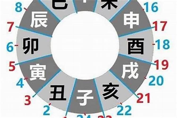 巳时出生哪个属相最好？