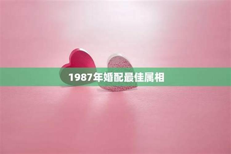 87年与76年合婚吗？
