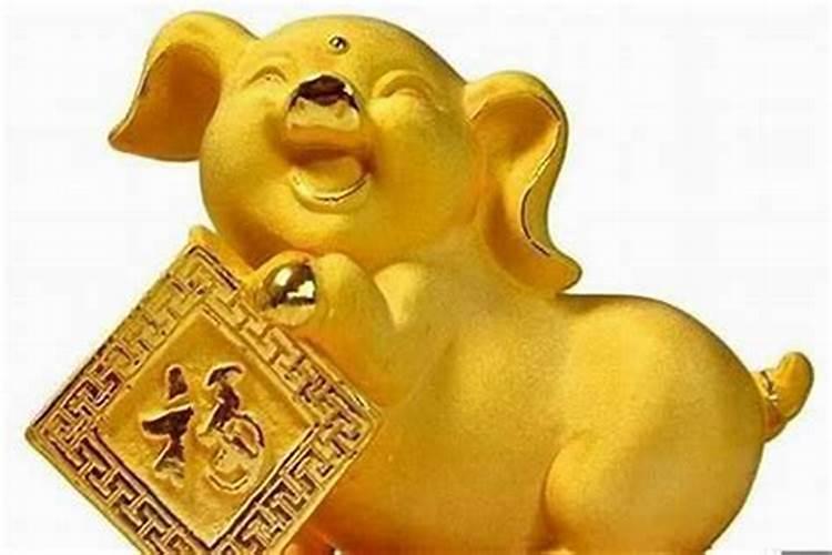 属猪的阴历三月运势如何？