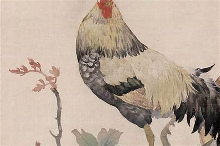 鸡人8月运势如何？