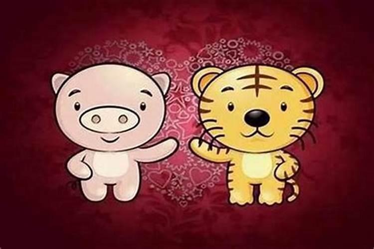 男的属虎女的属什么合婚？