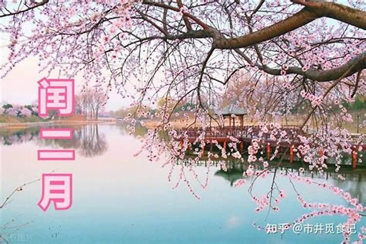 农历生日赶在了清明节