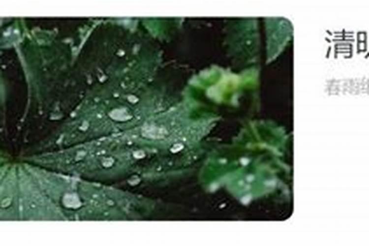 清明节背景音乐纯音乐有哪些？