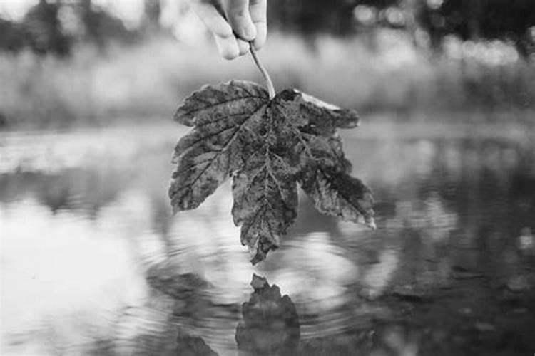 梦见死人办丧事预示着什么预兆呢？