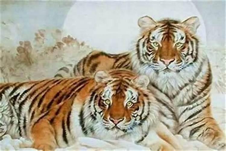 86年虎和98年虎合婚吗？